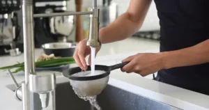 Stir Fry Shirataki Noodles
