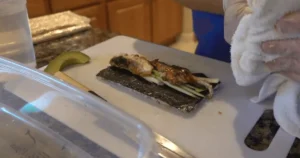Eel Avocado Roll Recipe